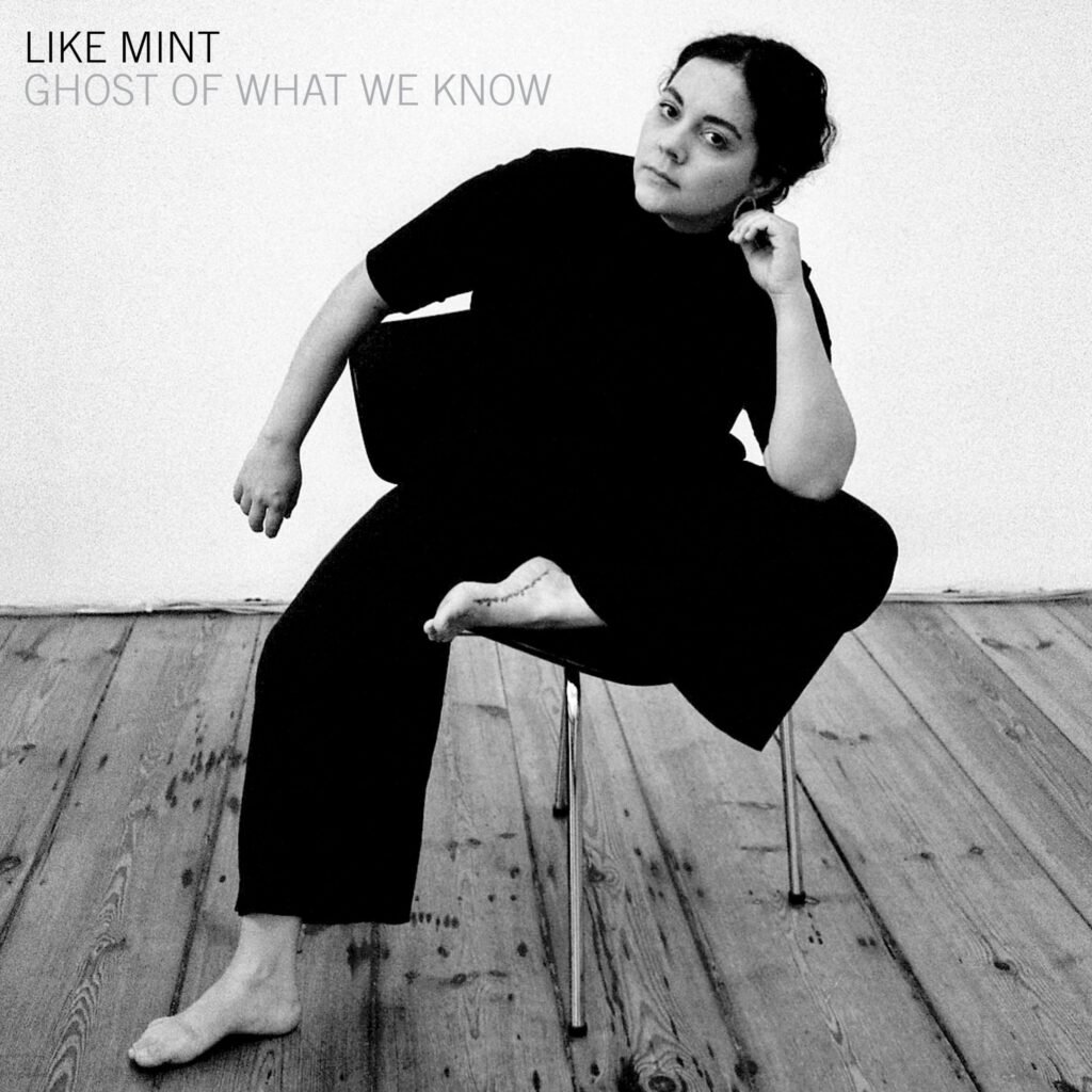 «Ghost Of What We Know», nuevo single de «Like Mint»