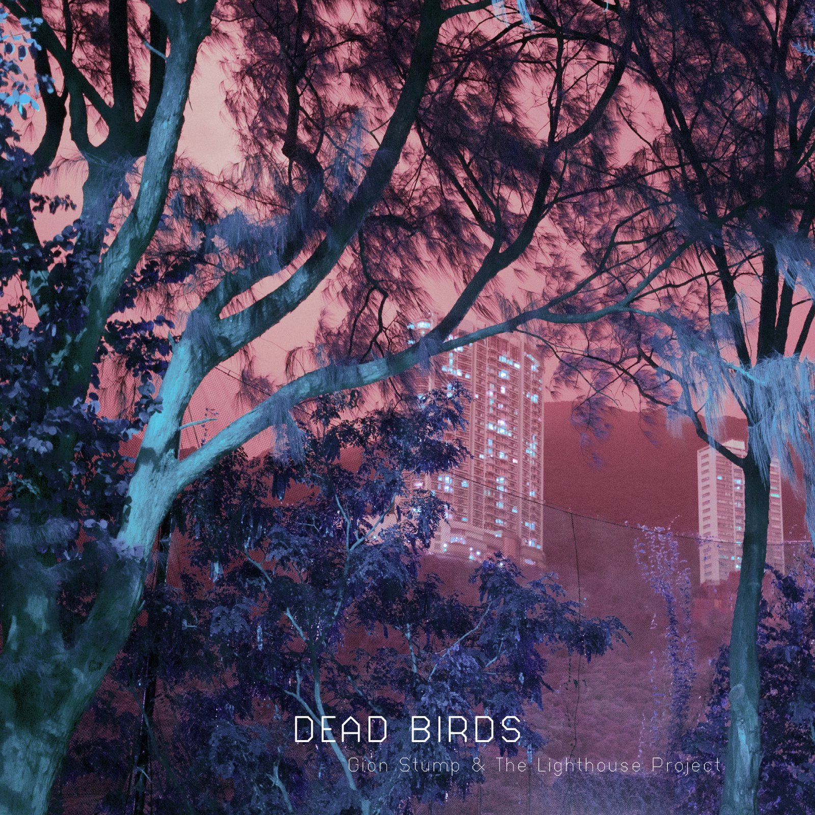 «Dead Birds», nuevo single de «Gion Stump & The Lighthouse Project»