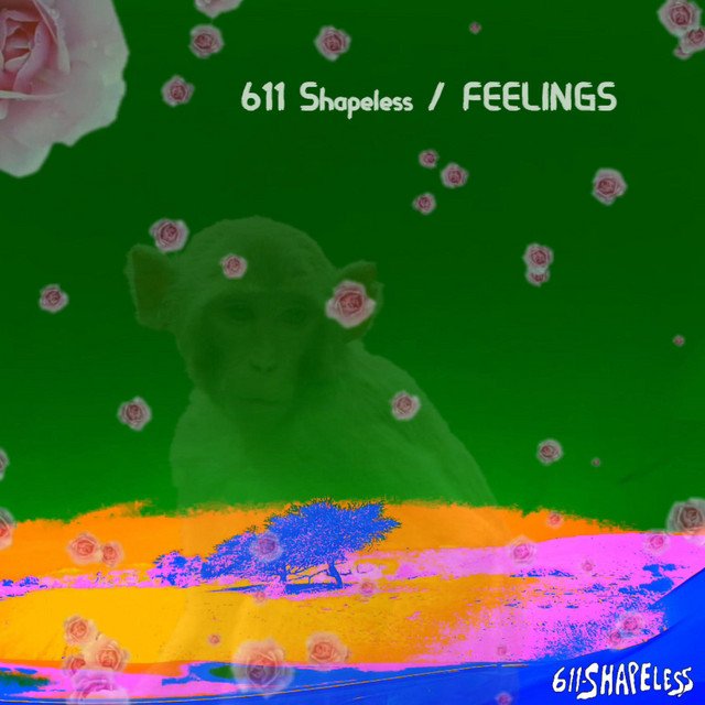 «Feelings», nuevo single de «611 Shapeless»